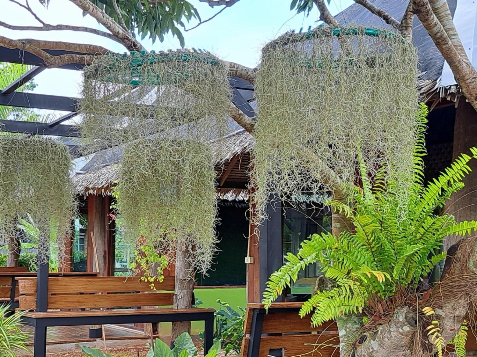 Kham Ecolodge เชียงแสน ภายนอก รูปภาพ